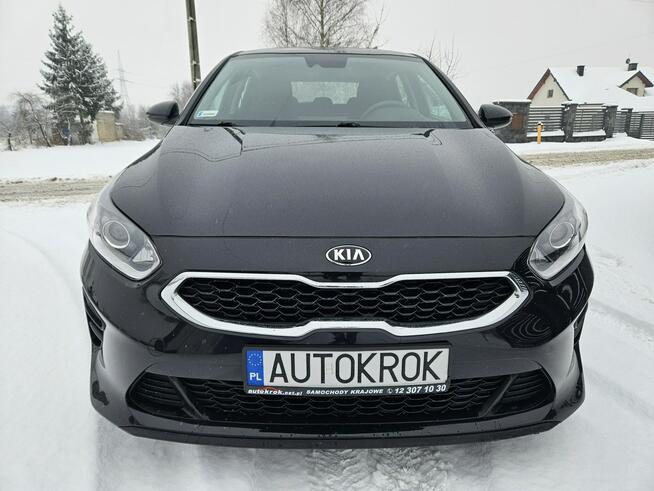 Kia Cee'd Polski salon, bezwypadkowy, gwarancja do 2028 roku Liszki - zdjęcie 2