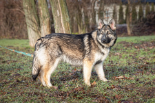 Zina szuka domu, w którym jej odwaga spotka się z miłością 🥰🏡