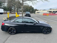 Piękna, bardzo dobrze utrzymana czarna perła Bliżyn - zdjęcie 9