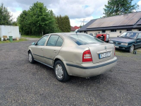 Skoda Octavia 1.9TDi 110km 05r Tarnów - zdjęcie 3
