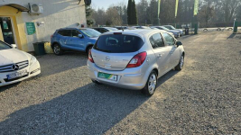 Opel Corsa Satellite, bagażnik rowerowy Flex-Fix Zieleniewo - zdjęcie 4