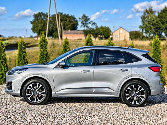 Ford Kuga Sadlno - zdjęcie 5