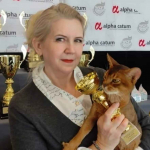 Клубные абиссинские котята Praga-Północ - zdjęcie 12