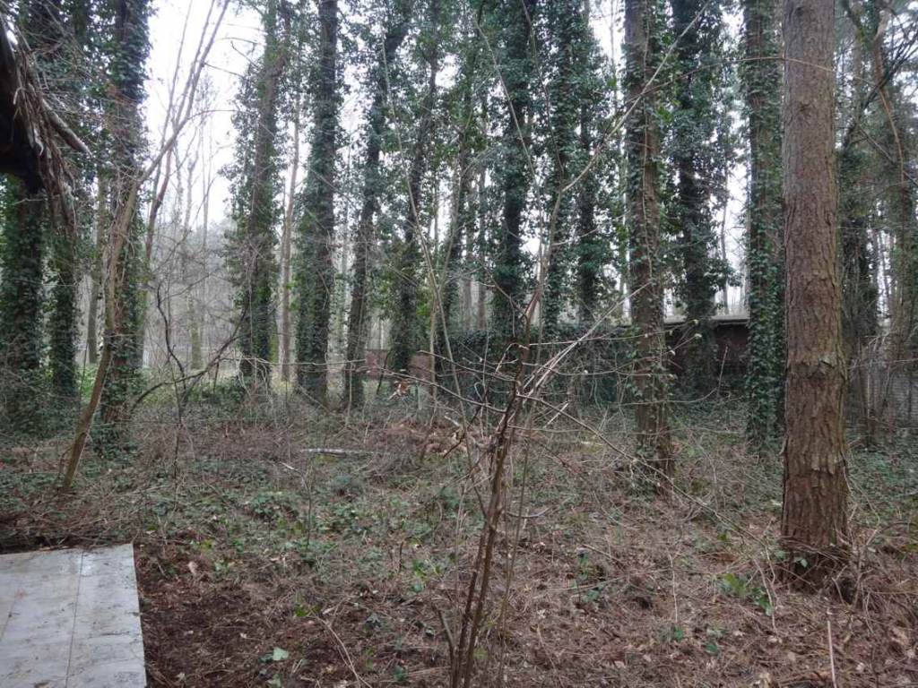 Działka nad Zalewem Zegrzyńskim Wieliszew - zdjęcie 1