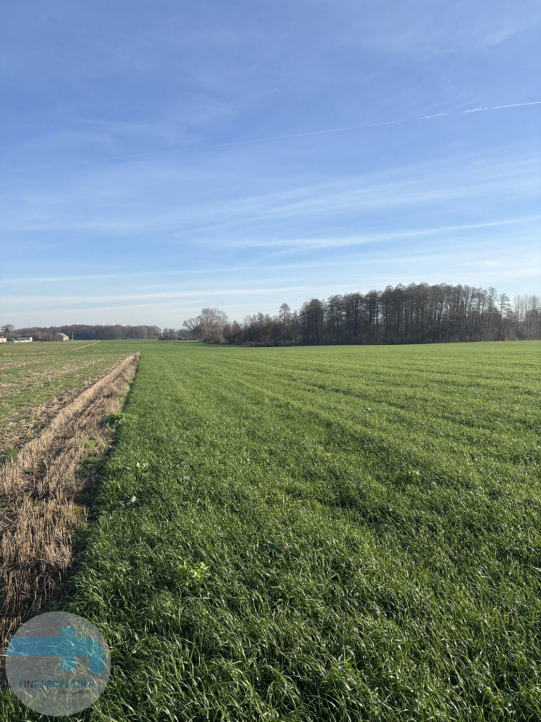 7,4 ha ziemi - idealne pod siedlisko, agroturystykę, stadninę Jaskółowo - zdjęcie 3