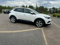 Opel Grandland X Lipówki - zdjęcie 7