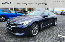 Kia Stinger fv23%/serwisowany/245KM Toruń - zdjęcie 1