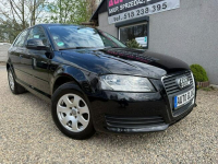 Audi A3 Bardzo Zadbany**140 KM**Tylko 2 Właściciel