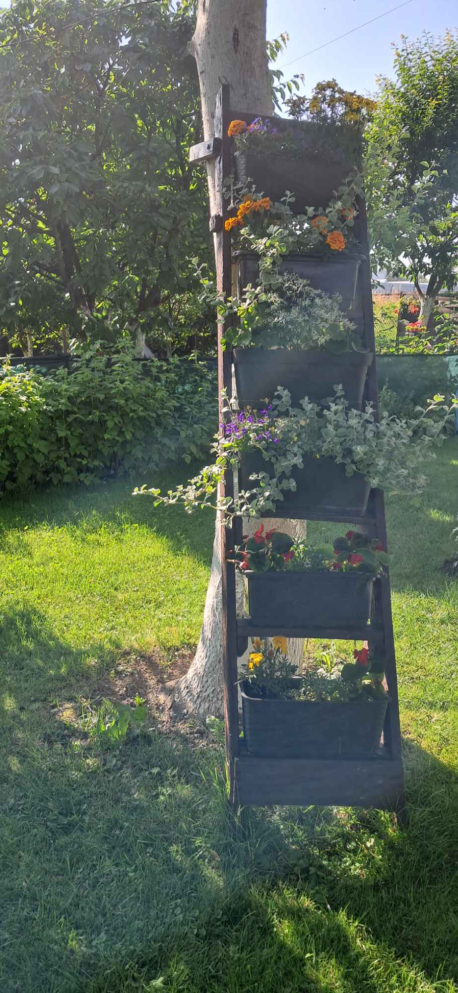 Działka ROD Tarnów - zdjęcie 9