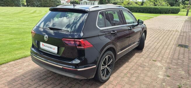 Volkswagen Tiguan Paproć - zdjęcie 7