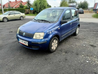 Fiat Panda 1.1 07r Tarnów - zdjęcie 2