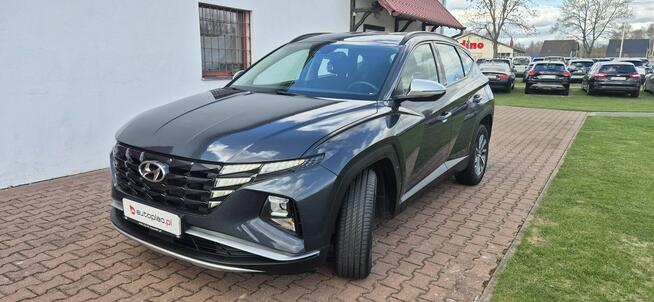 Hyundai Tucson AUTOMAT-KAMERA-MEDKA-LED Paproć - zdjęcie 3