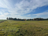 Działka w zielonej części miasta – idealna pod dom Poznań - zdjęcie 7