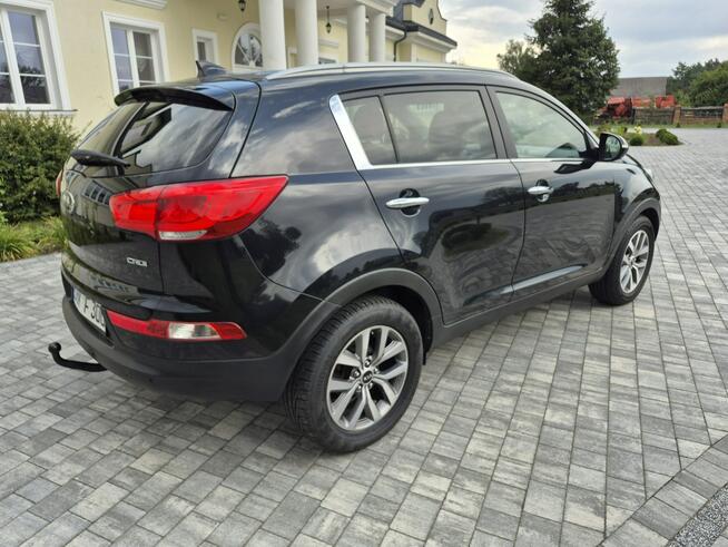 Kia Sportage kamera xenon navigacja skóra Import Francja bez korozji Drelów - zdjęcie 5