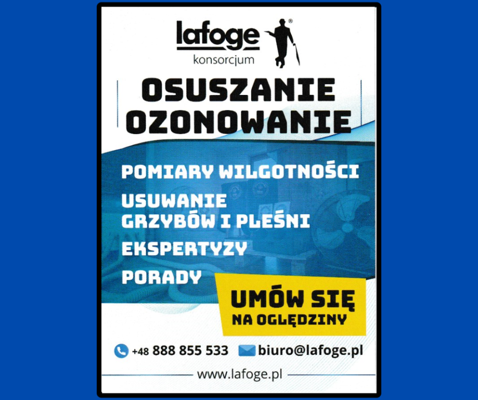 Osuszanie, Ozonowanie, Odgrzybianie, Oględziny Gwizd - zdjęcie 1