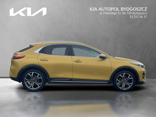 Kia XCeed 1.5 T-GDI 160KM Bussines Line + Salon PL Alufelgi 18 Bydgoszcz - zdjęcie 6