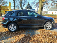 Sprzedam Audi Q5 2.0 TDI Dębica - zdjęcie 2