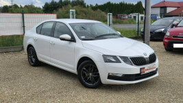 Škoda Octavia krajowa Chełm Śląski - zdjęcie 3