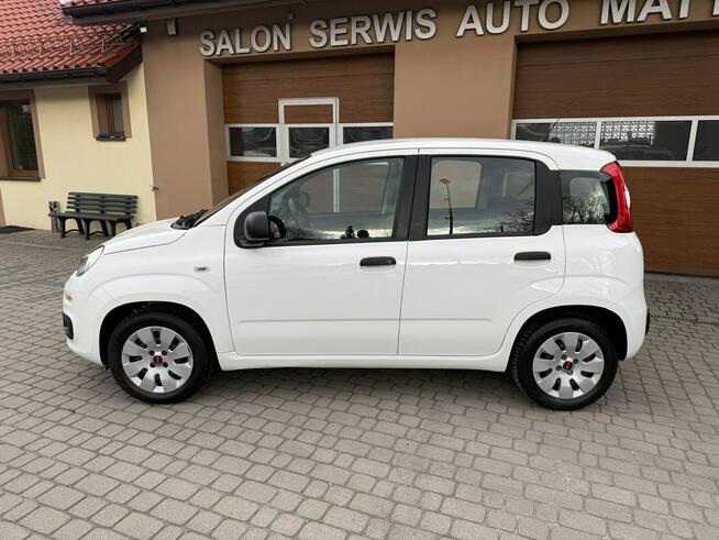 Fiat Panda 1,2 69KM  Klimatyzacja Orzech - zdjęcie 11