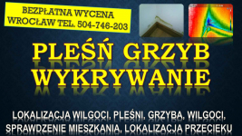 Odgrzybianie mieszkania, cena, tel. 504-746-203. Wrocław. pleśń, grzyb Psie Pole - zdjęcie 4