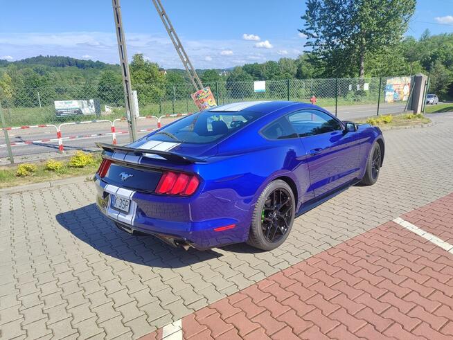 Ford Mustang zadbany oryginalny lakier serwisowany Kalwaria Zebrzydowska - zdjęcie 6