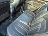 Kia Sportage kamera xenon navigacja skóra Import Francja bez korozji Drelów - zdjęcie 8