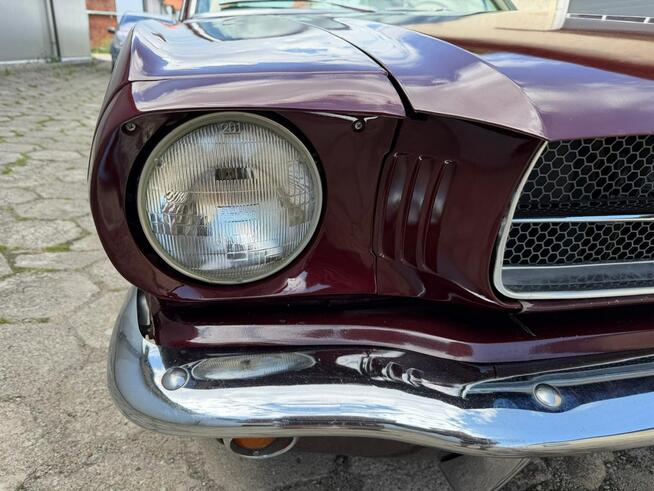 1965 Ford Mustang 289 v8 Automat Sprowadzony LUXURYCLASSIC Koszalin - zdjęcie 7