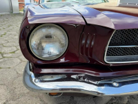 1965 Ford Mustang 289 v8 Automat Sprowadzony LUXURYCLASSIC Koszalin - zdjęcie 7