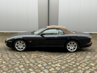 4.2 V8 XK8 Lift Zarejestrowany Stan BDB Bezwypadkowy LUXURYCLASSIC Koszalin - zdjęcie 3