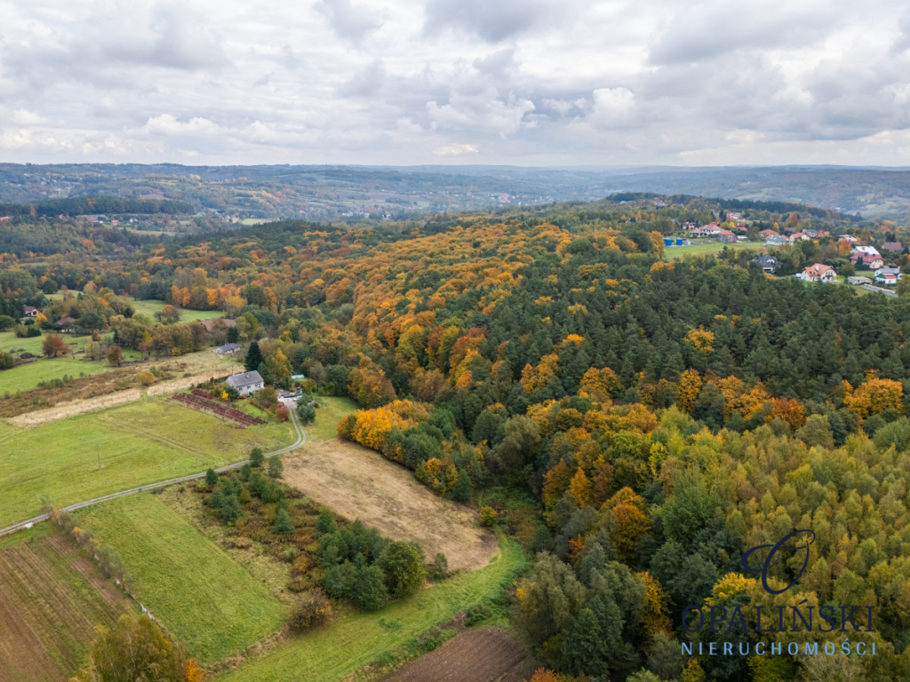 Działka pod lasem 16,80 ar z warunkami zabudowy Rzeszów - zdjęcie 9