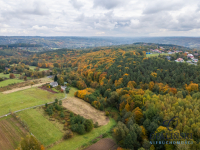 Działka pod lasem 16,80 ar z warunkami zabudowy Rzeszów - zdjęcie 9