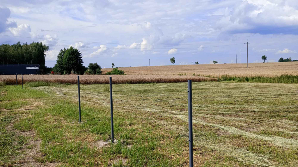 Działka budowlana Dobierzyn Lubraniec - zdjęcie 5