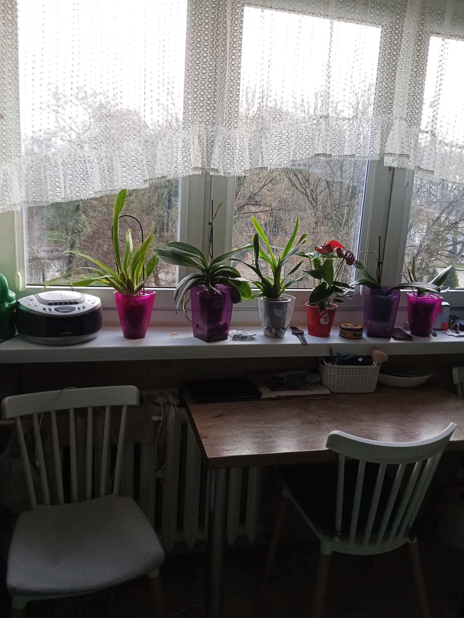 Mieszkanie na sprzedaż Toruń - zdjęcie 8