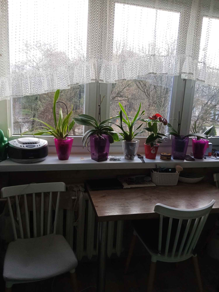 Mieszkanie na sprzedaż Toruń - zdjęcie 8