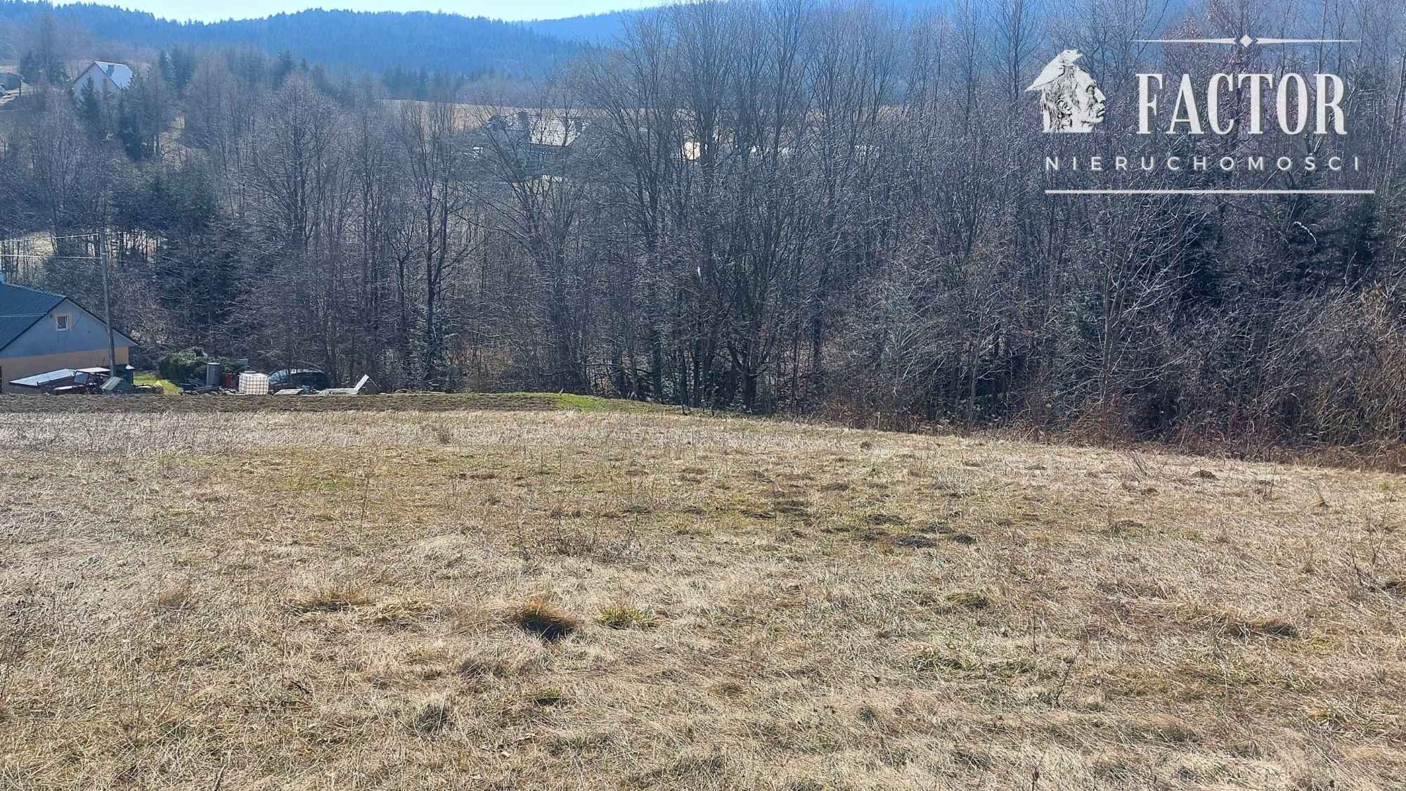 Działka budowlana 12,79 ara – Bieśnik, gm. Łużna 1185S/2026 Bieśnik - zdjęcie 7