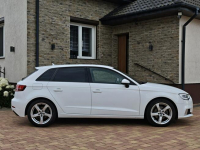 Audi A3 Sadlno - zdjęcie 6