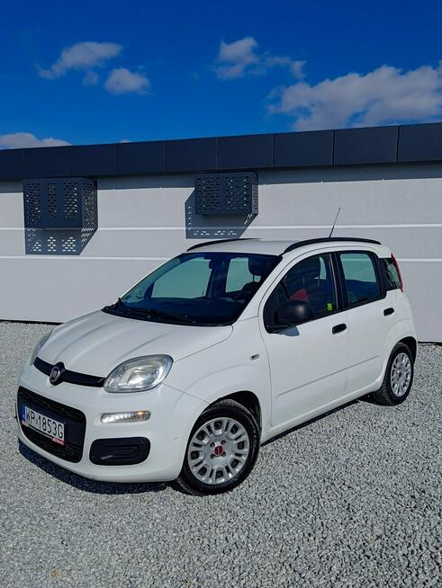 Fiat Panda 1.2 1Wł Salon PL Miękinia - zdjęcie 1