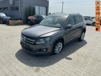 Volkswagen Tiguan 4Motion DSG Navi Climatronic Gliwice - zdjęcie 1