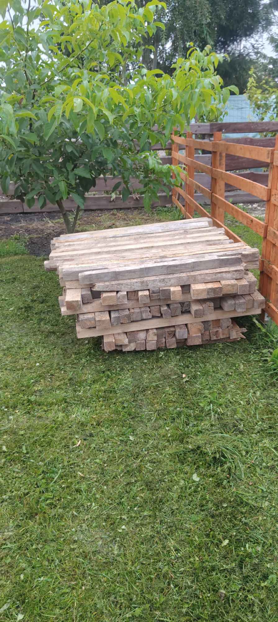 Drewno sosna świerk Korsze - zdjęcie 4