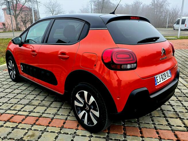 Citroen C3 1.2 PureTech Shine Więcławice Stare - zdjęcie 11