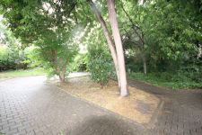 1pok, 25met, okolice Oławskiej PIWNICA (Wrocław) Stare Miasto - zdjęcie 10