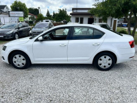 Škoda Octavia Super stan, zarejestrowany w Polsce Nowe Iganie - zdjęcie 8