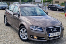 Audi A3 Niski przebieg! Automat! Stan wzorowy! Zamiana też! Gwarancja! Zduńska Wola - zdjęcie 5