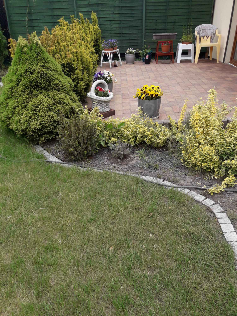 Sprzedam dom w Mosinie Mosina - zdjęcie 6