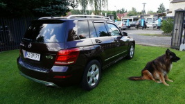 Mercedes GLK 220 Salonowy super stan. Gwarancja Zielona Góra - zdjęcie 5