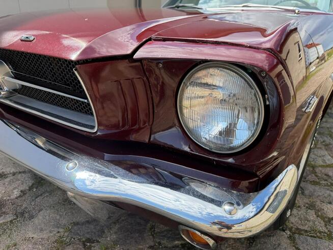 1965 Ford Mustang 289 v8 Automat Sprowadzony LUXURYCLASSIC Koszalin - zdjęcie 10