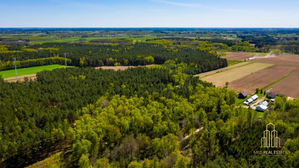 Urokliwa działka w zaciszu lasu w Koźlikach!!! Koźliki - zdjęcie 4