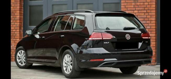 Volkswagen Golf VII 1.0 TSI Alu Klima Tempomat Grzane fotele Gorzów Wielkopolski - zdjęcie 6