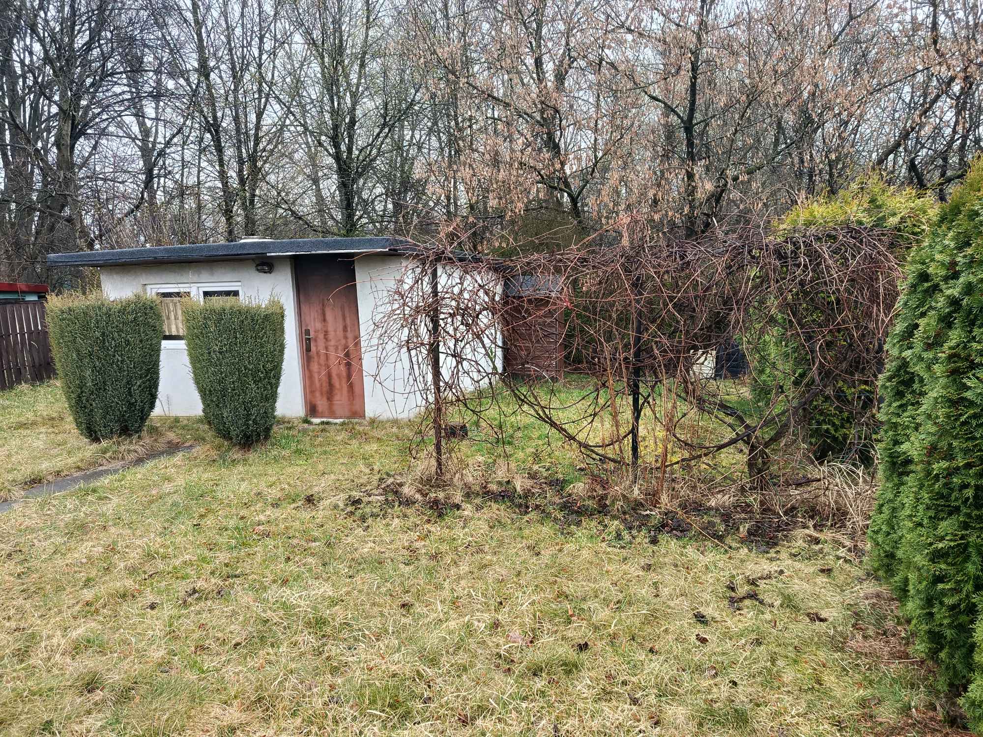 Sprzedam Ogródek działkowy Bytom Szombierki 'Pod Perłą' Bytom - zdjęcie 3