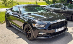 Mustang turbo, performance pack + premium pack + modyfikacje